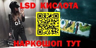 PSILOCYBIN Заводоуковск