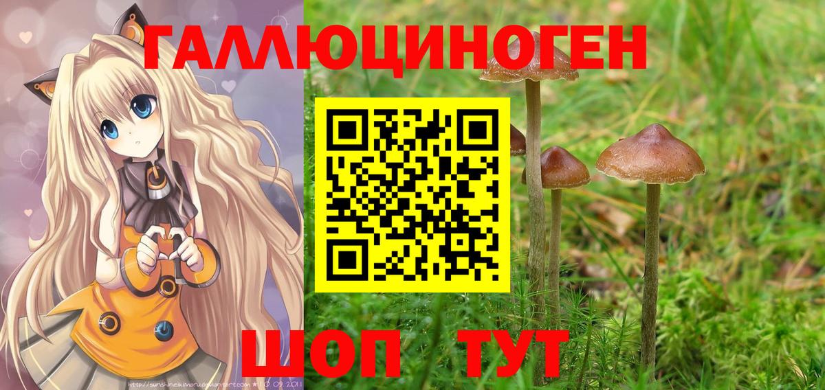 Галлюциногенные грибы мицелий Люберцы